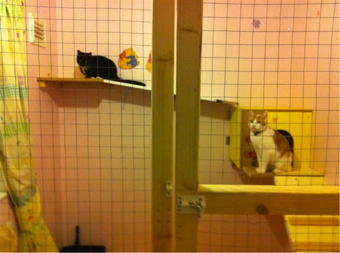 Indoor Cat Cabin